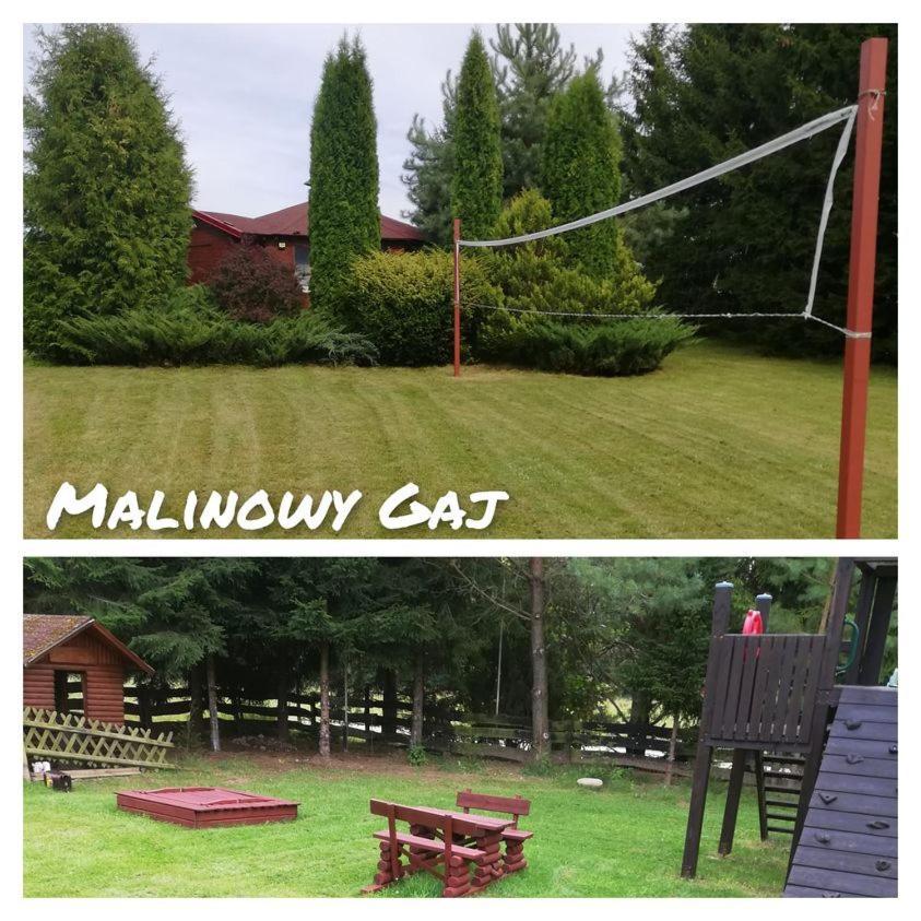 Malinowy Gaj - Agroturystyka Z Alpakami I Innymi Zwierzetami Swietajno  Exterior foto