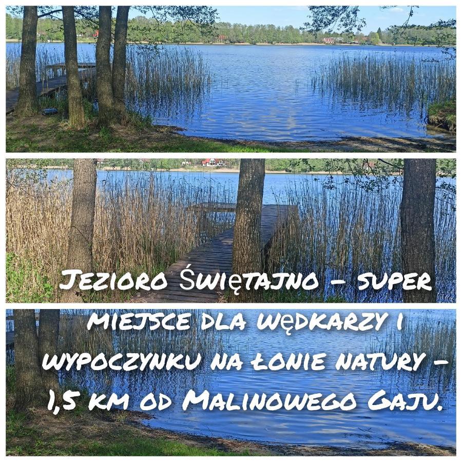 Malinowy Gaj - Agroturystyka Z Alpakami I Innymi Zwierzetami Swietajno  Exterior foto