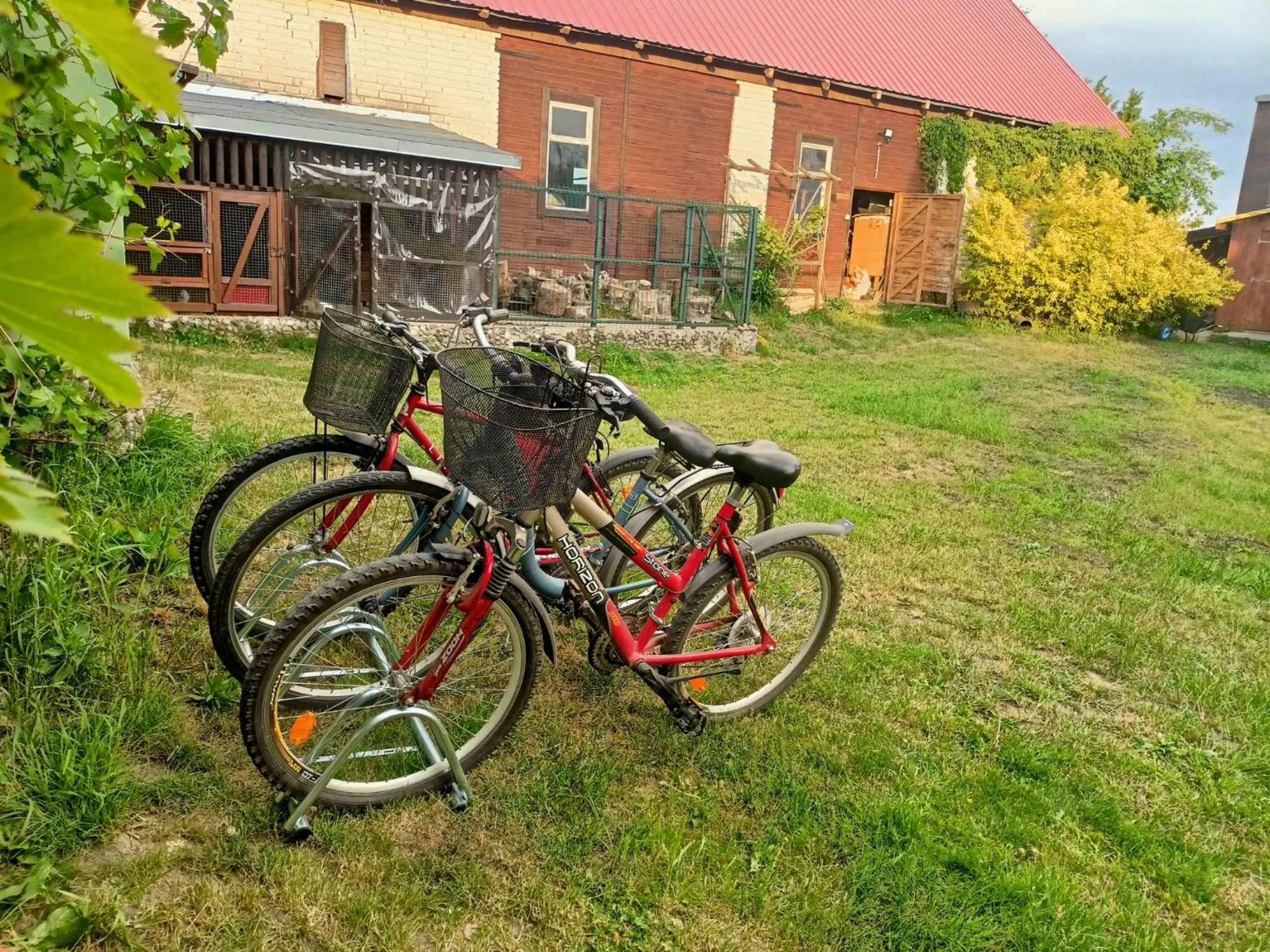Malinowy Gaj - Agroturystyka Z Alpakami I Innymi Zwierzetami Swietajno  Exterior foto