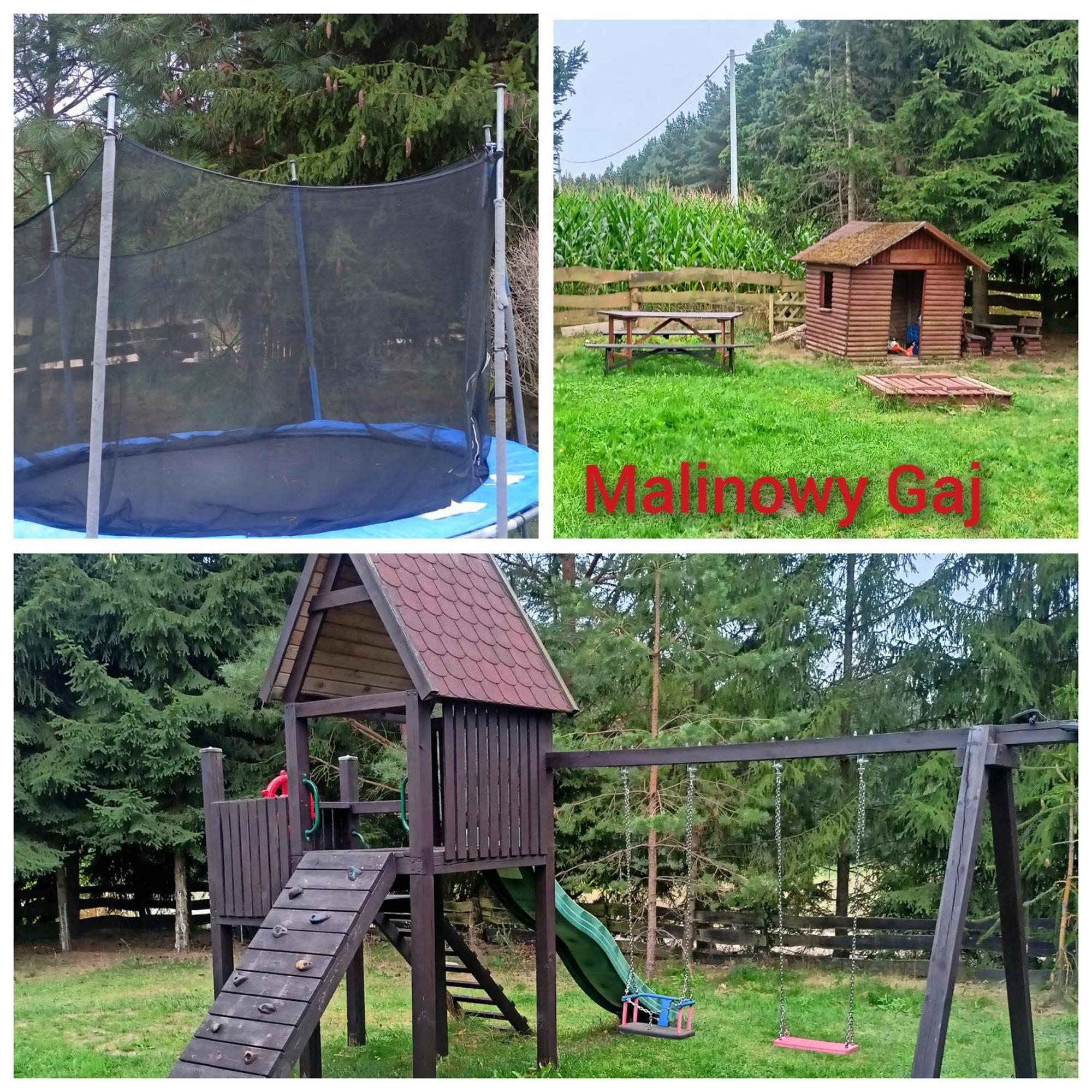 Malinowy Gaj - Agroturystyka Z Alpakami I Innymi Zwierzetami Swietajno  Exterior foto