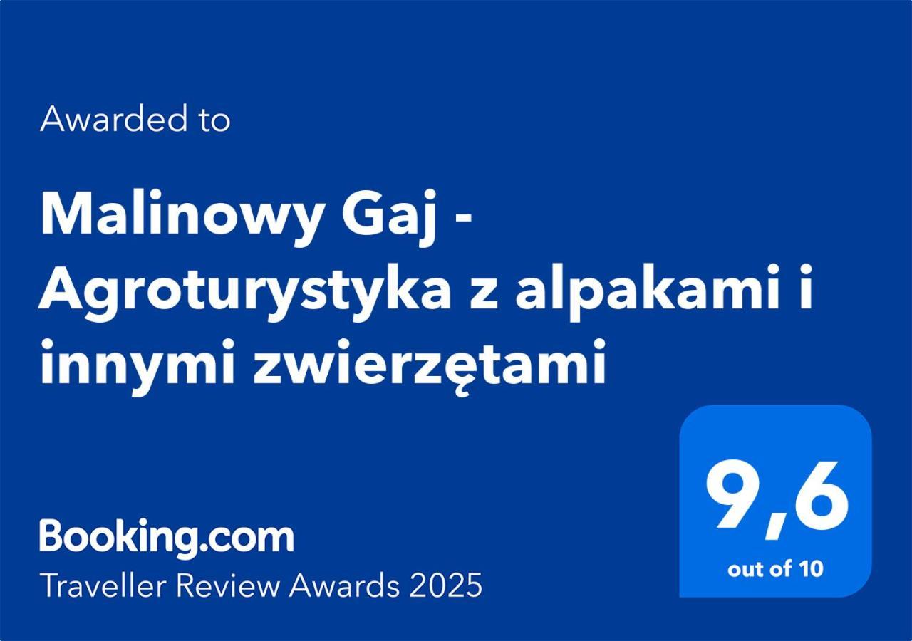 Malinowy Gaj - Agroturystyka Z Alpakami I Innymi Zwierzetami Swietajno  Exterior foto