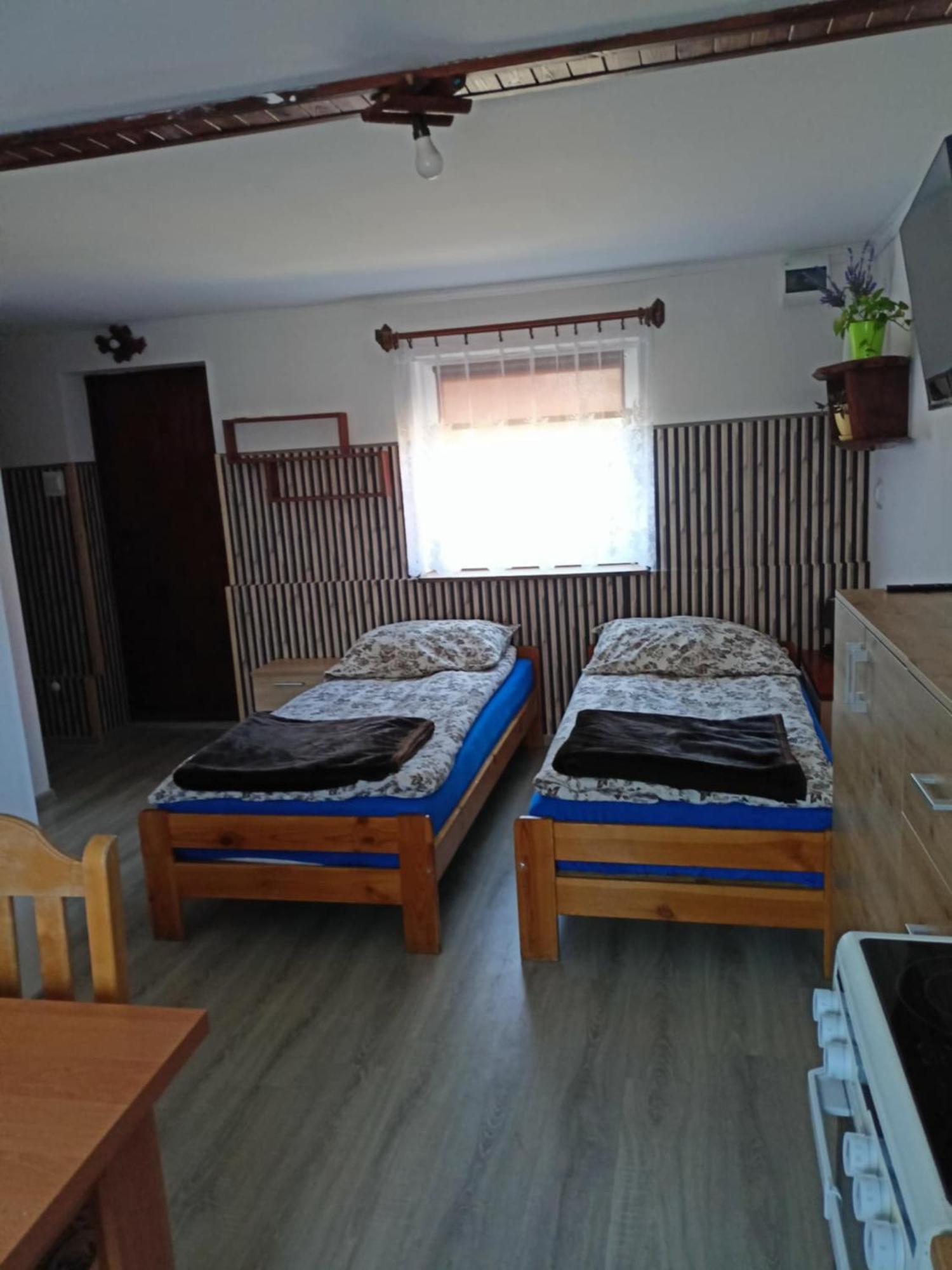Malinowy Gaj - Agroturystyka Z Alpakami I Innymi Zwierzetami Swietajno  Exterior foto